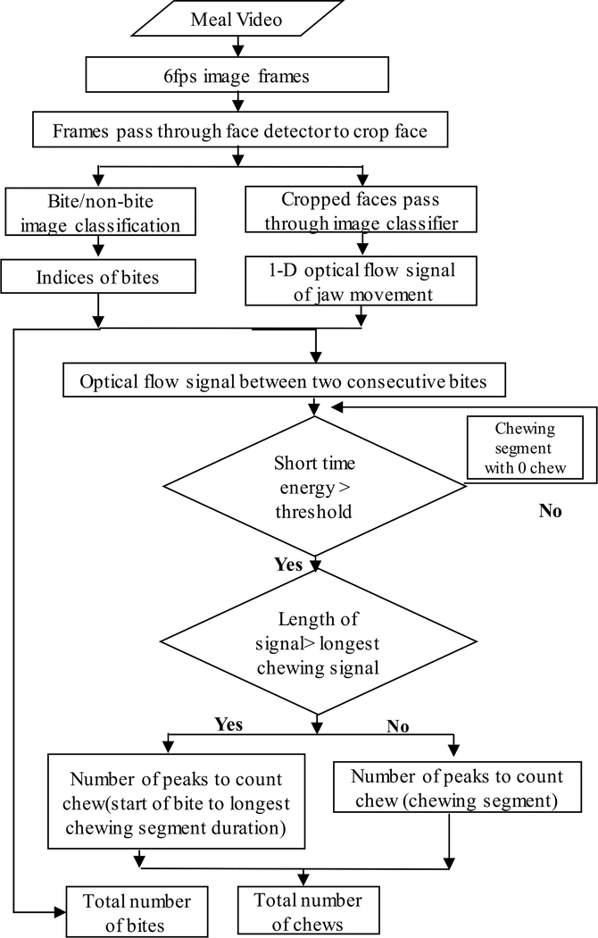 FIGURE 12.