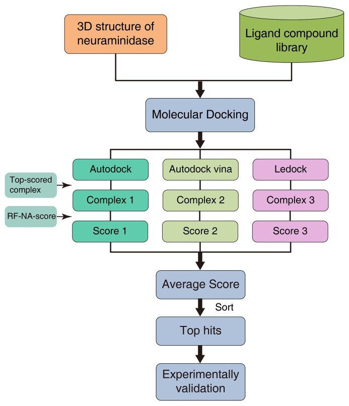 Figure 6