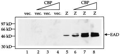 FIG. 5