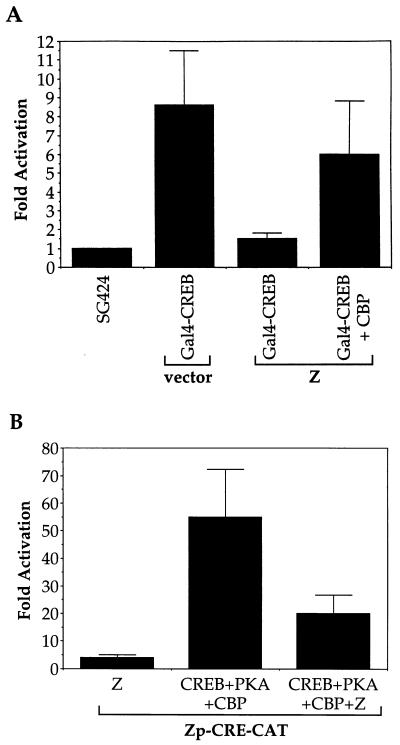 FIG. 6