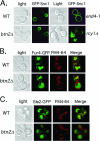 FIG. 6.