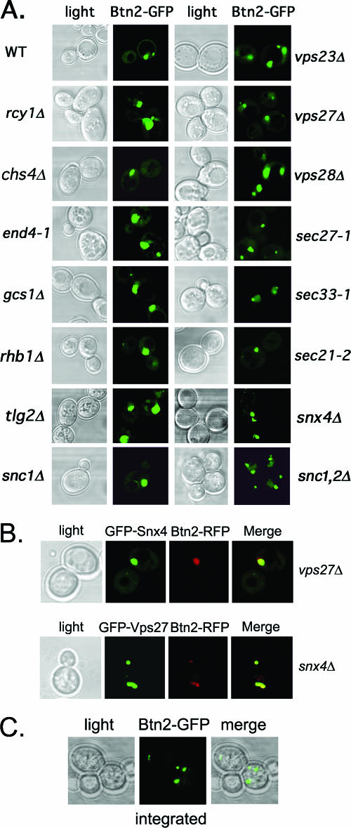 FIG. 4.