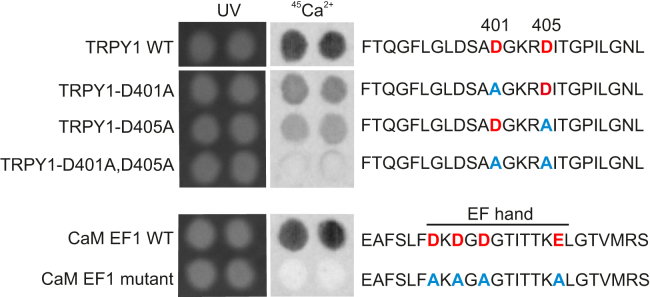 Figure 6