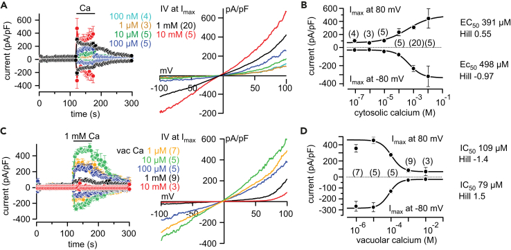 Figure 2