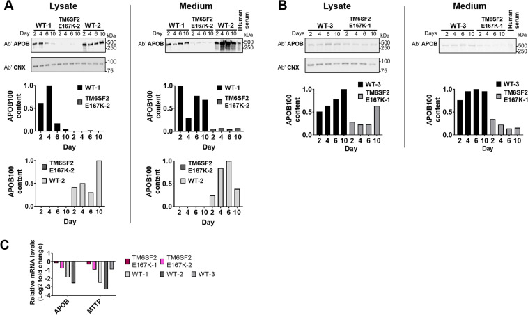 Figure 7