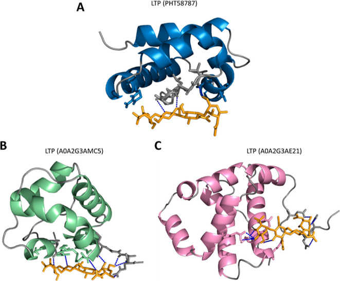 Figure 5