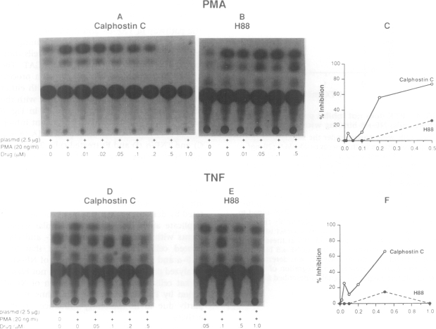 FIG. 6