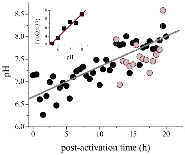 Figure 11