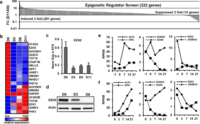 FIGURE 1.