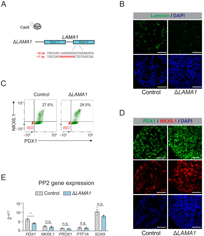 Figure 4—figure supplement 2.