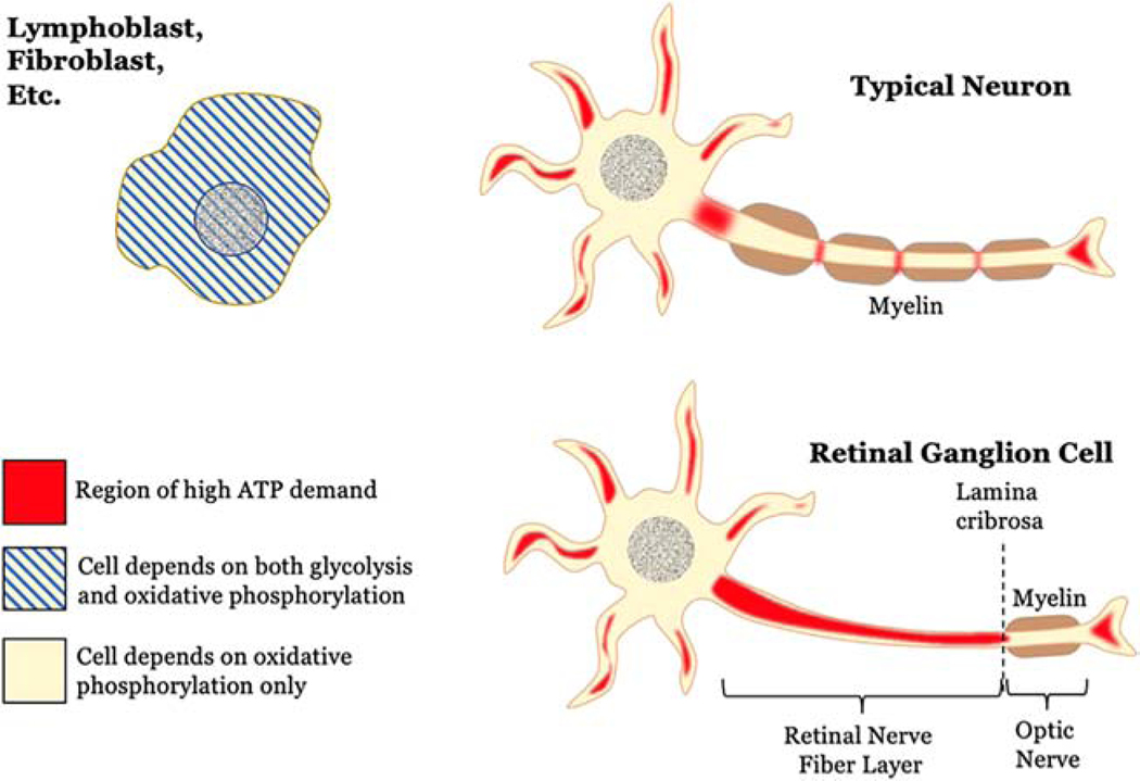 Figure 1: