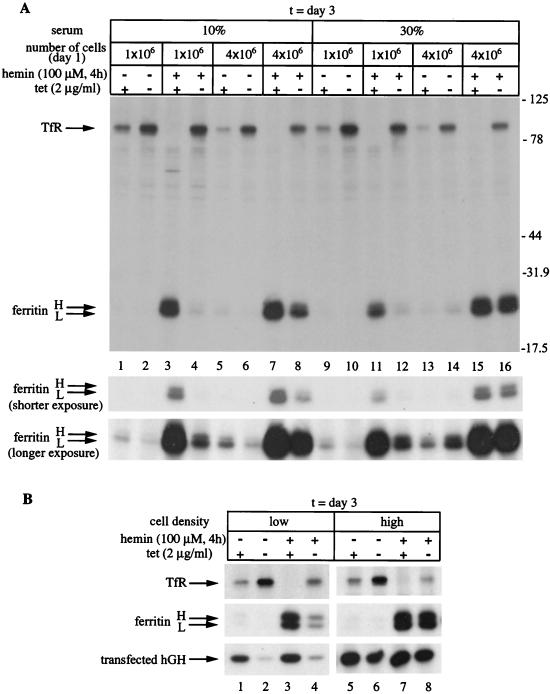 FIG. 5.