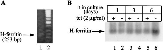 FIG. 7.