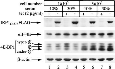 FIG. 9.