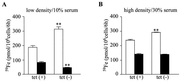 FIG. 10.