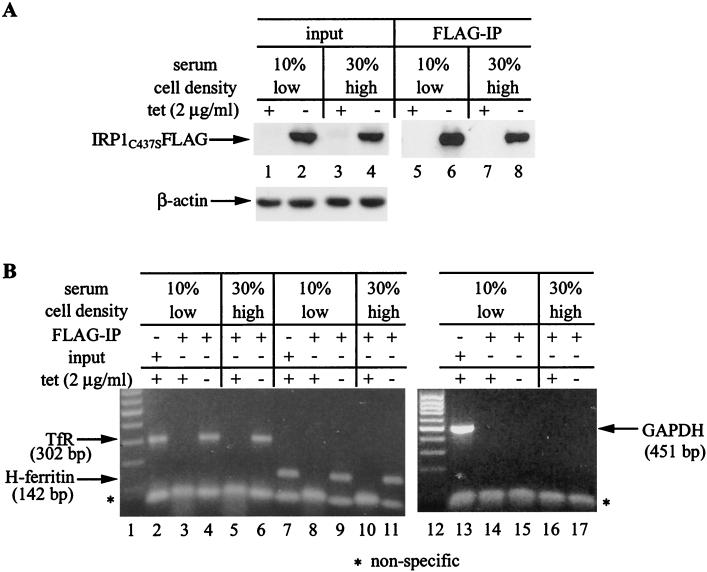 FIG. 8.