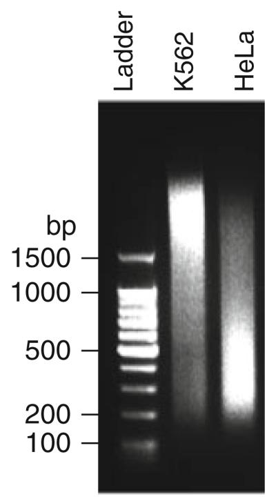 Fig. 27.2