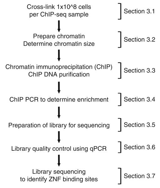 Fig. 27.1