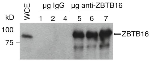 Fig. 27.6