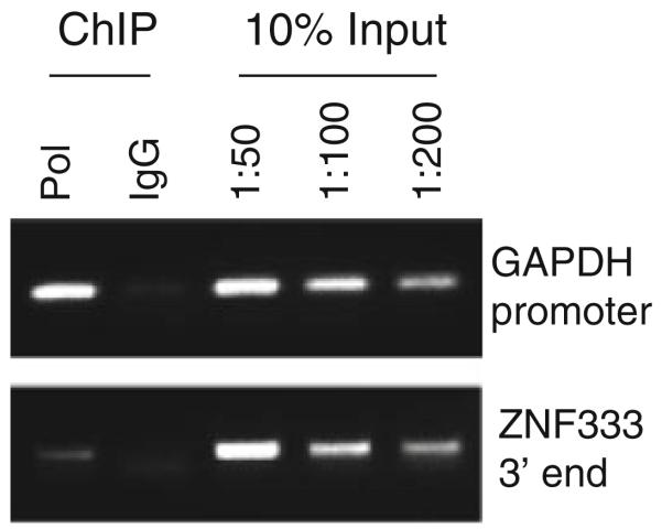 Fig. 27.3