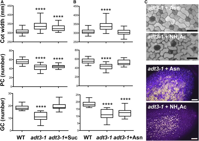 Figure 6.