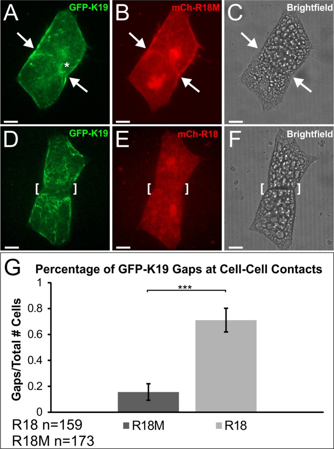 FIGURE 6: