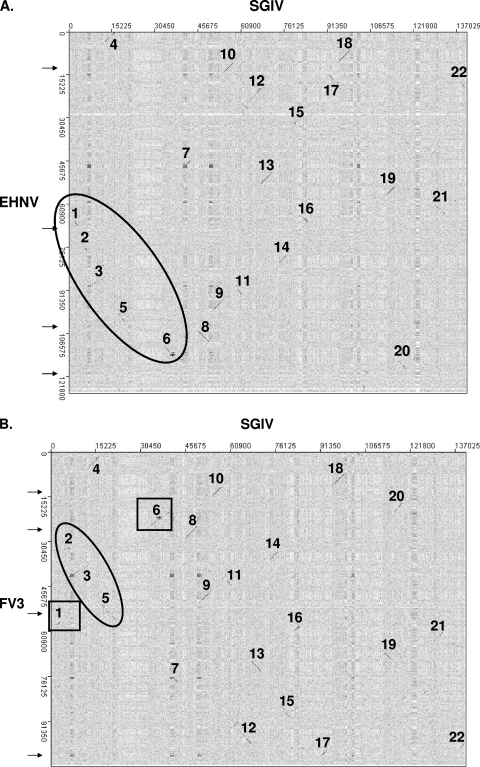 FIG. 6.