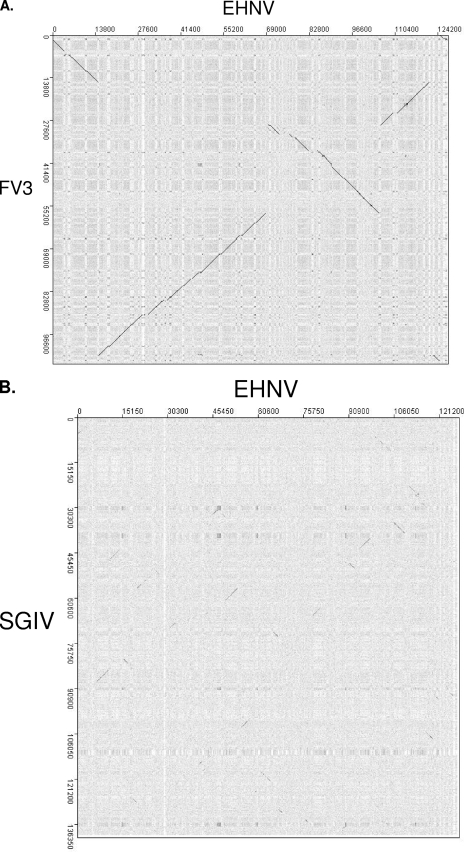 FIG. 5.