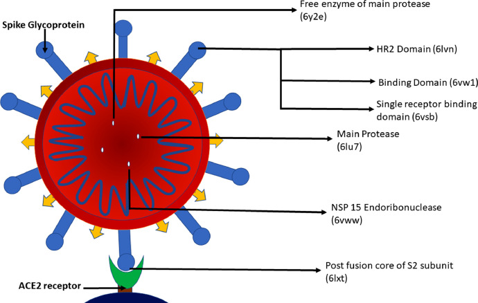 Fig 1