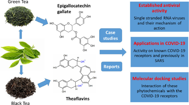 Image, graphical abstract