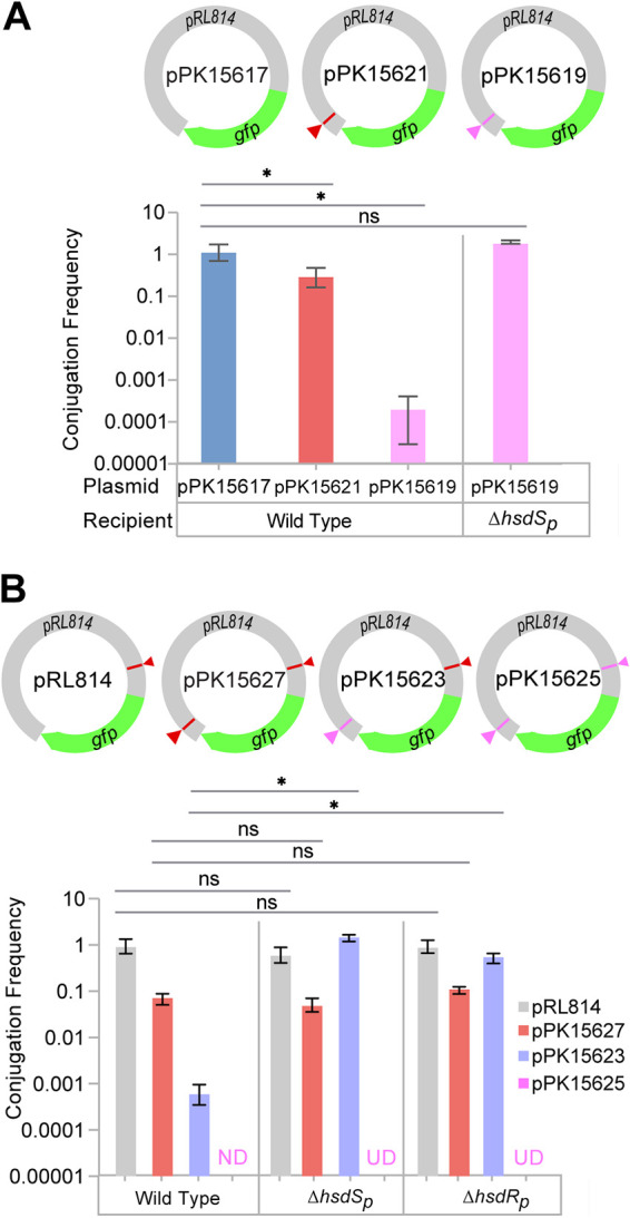 FIG 3