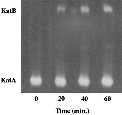 FIG. 4