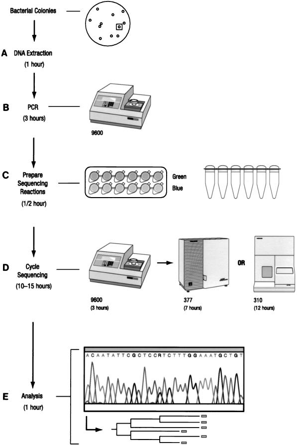 FIG. 1