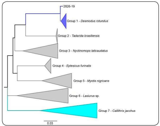 FIGURE 1: