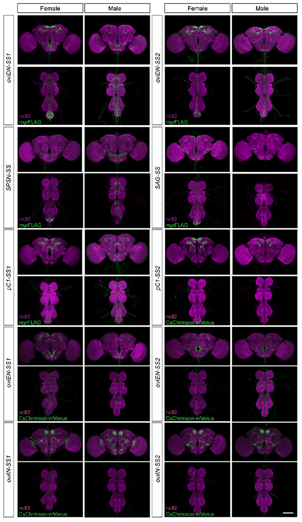 Extended Data Fig. 1 |