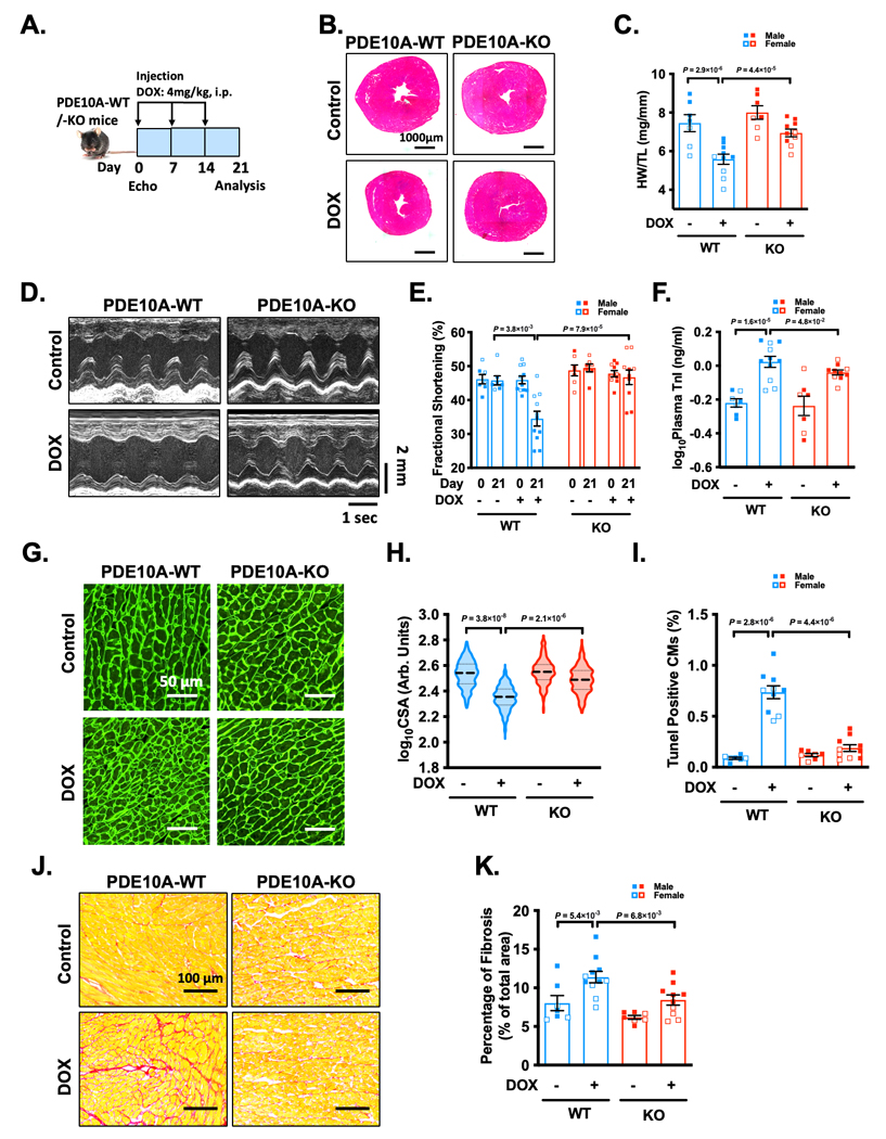 Figure 2: