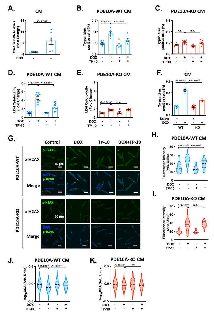 Figure 6: