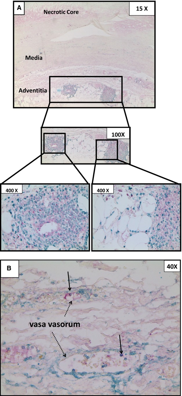 Figure 10.