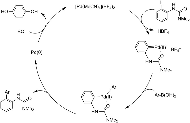 Scheme 24