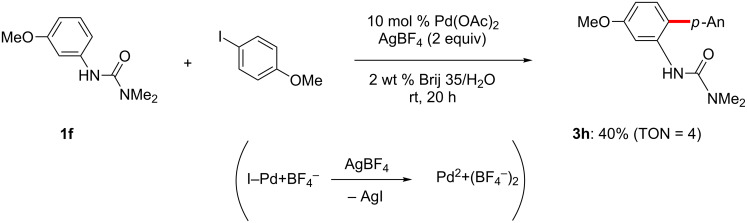 Scheme 22