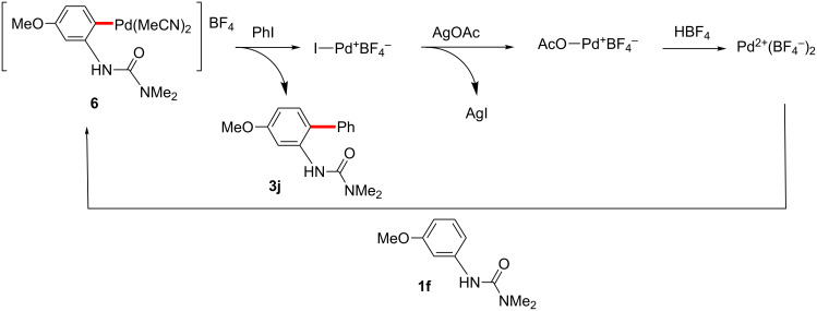 Scheme 21