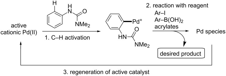 Scheme 8