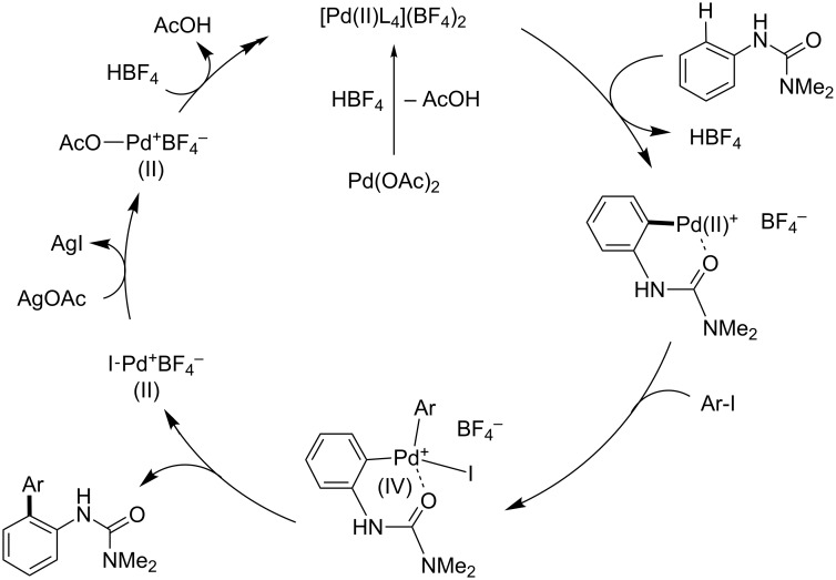 Scheme 25