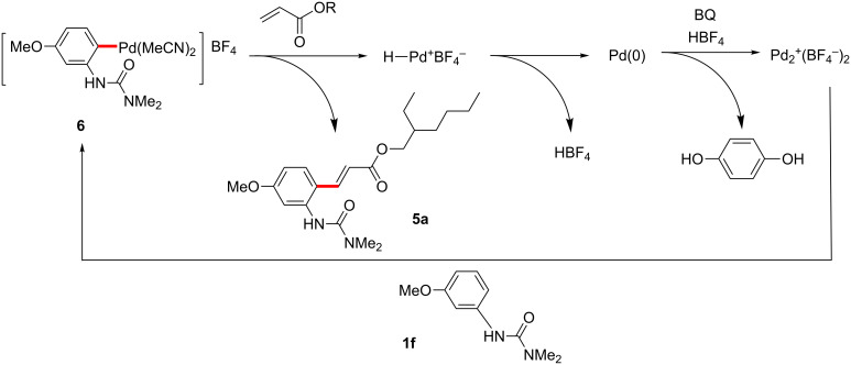 Scheme 17