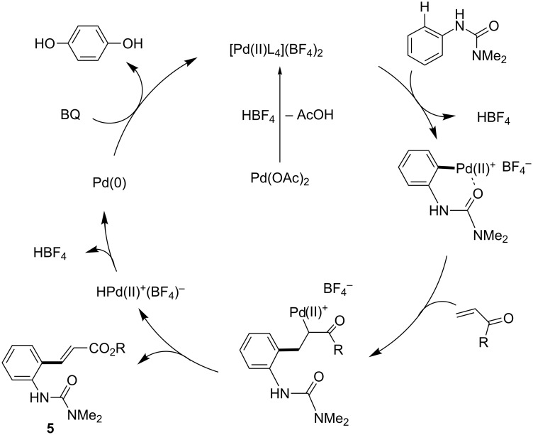 Scheme 23