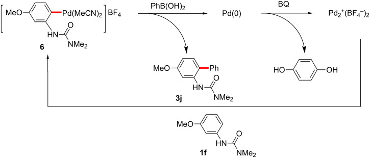 Scheme 18