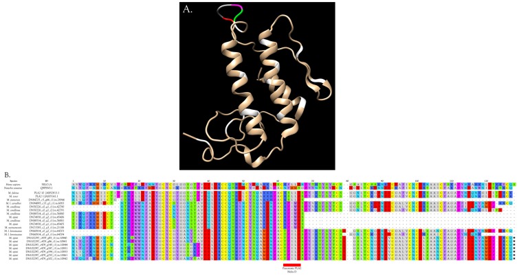 Figure 13