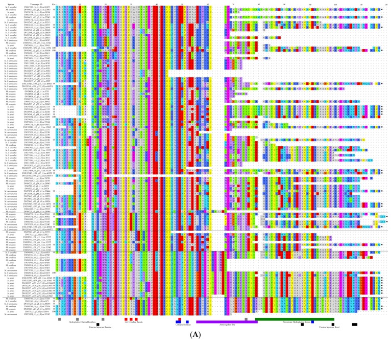 Figure 12