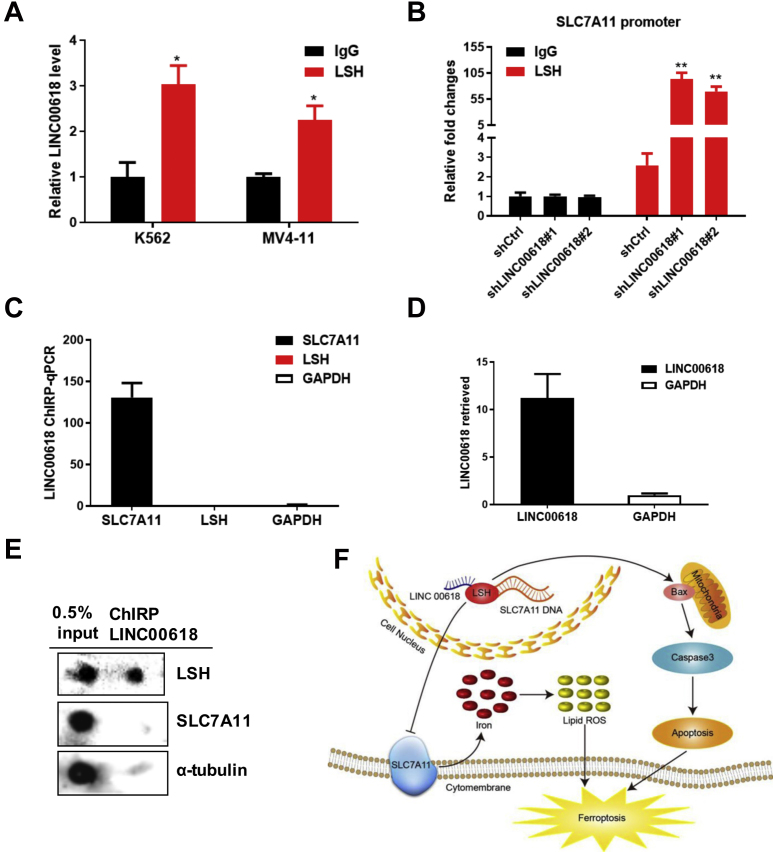 Figure 6