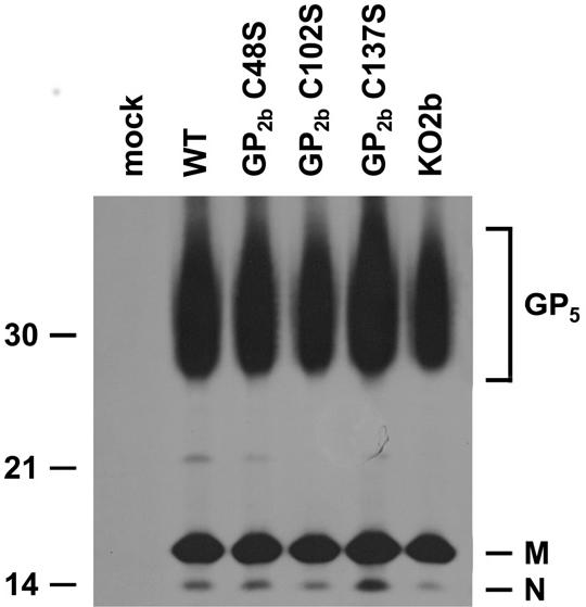 FIG. 4.